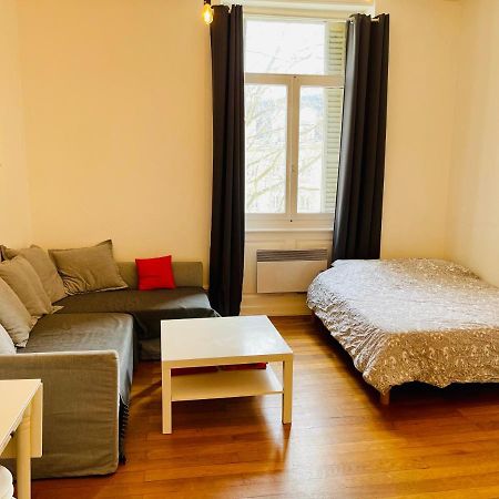 Apartament Studio Cosy De 28M2 Au Centre De Strasburg Zewnętrze zdjęcie